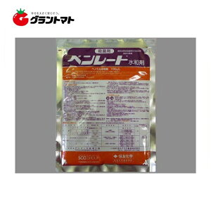 x[ga 100g 60ܓ ΓyaQE`aEۍ _ ZFwy񏤕iz