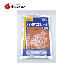 _R[ga 100g×25 qEۍ _ ZFwy񏤕iz