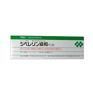 Wxay[Xg 50g×10 A y񏤕iz