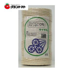 �R���o�C���o�C���_�[�R ��900m×6�� �T�C�U�� �ێO�Y��