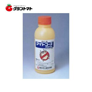 }CgR[ltAu 500ml×20{ ėpE_j _ Ywy񏤕iz