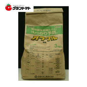 IN 3kg×8 Eۍ ԕa _ Ywy񏤕iz