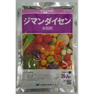 W}_CZa 250g×60 Eq}^Eۍ _y񏤕iz