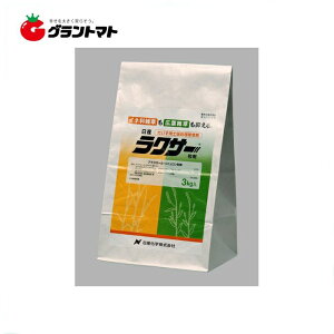 NT[ 3kg×6 py돈 _ Ywy񏤕iz