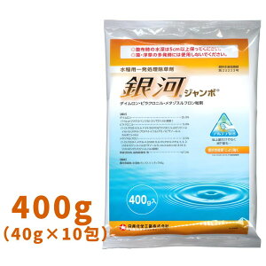 ̓W{ 400g (40g×10)×20 pꔭ _ Ywy񏤕iz