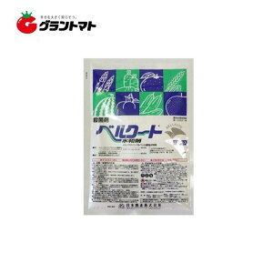 xN[ga 100g×25 KEۍ {B