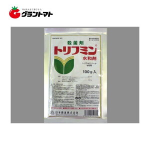 gt~a100g×25 Y^Eۍ _ {By񏤕iz