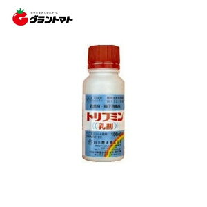 gt~ 100ml×10 qEۍ _ {B
