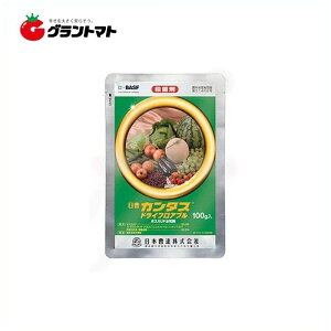 J^XhCtAu 100g×10 Eۍ _ {B y񏤕iz