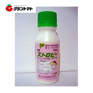 Xgr[tAu 100ml×10{ Eq`jQ^؁EԙpEۍ _ {B