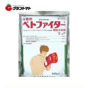 y2020`ő500~OFFN[|zxgt@C^[a 500g×20 ΂ׂƕaEۍ _ {By񏤕iz