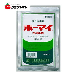 z[}Ca 100g×25 qō Eۍ _ {By񏤕iz