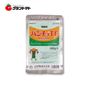 p`TFa 100g×25 ǂ񂱕aɌEۍ _ {B y񏤕iz