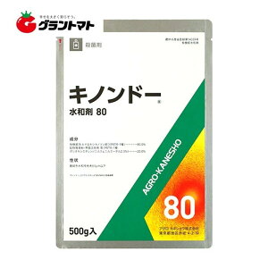 Lmh[a80 500g×20 a ʗ\hEۍ _ AOJlVEy񏤕iz