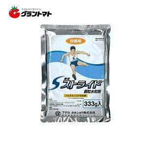 XgCha 333g×30 񂲌Eۍ _ AOJlVEy񏤕iz