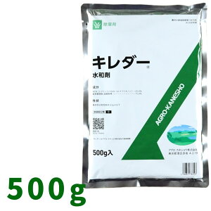 L_[a 500g×20 RPޗp AOJlVEy񏤕iz