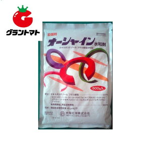 yVSSԒP2{I I[VCa 500g×20 ʎaQ\hEۍ _ OATAOIy񏤕iz