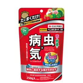 ベニカXガード粒剤 250g住友化学園芸園芸