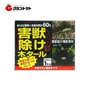 Qb؃^[ 1kgg`[y񏤕iz