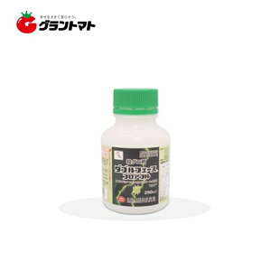 y2020`ő1000~OFFN[|z_utF[XtAu 250ml×20 E_j {_y񏤕iz