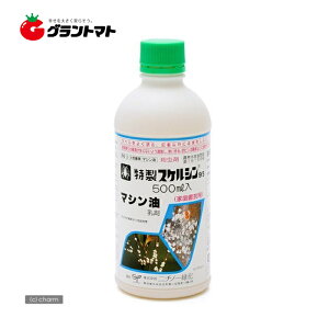 XPV}V 500ml×20{ E {_y񏤕iz