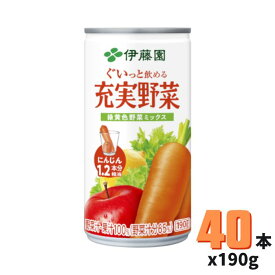 伊藤園 充実野菜 緑黄色野菜ミックス 190g 20本*2ケース（40本）【送料無料】