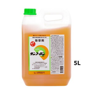 Tt[ 5L