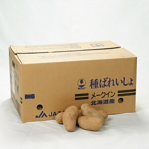 kCY@Ⴊq@[NC 5kgy΂ꂢ匟uiؕ[tz