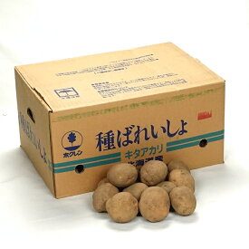 クーポン利用でMAX1,000円OFF キタアカリ（北あかり）10kg箱 北海道産 じゃがいも種子 種芋 じゃがいも 【種ばれいしょ検疫合格証票付き】