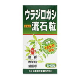 山本漢方 ウラジロガシ流石粒 240粒