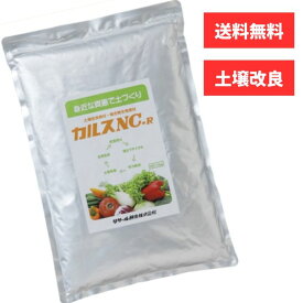 カルス NC-R 1kg 土壌改良剤 連作障害 対策 残渣分解 発酵促進 粉状 リサール酵産 家庭菜園 畑 送料無料 芝生 サッチ分解 肥料 メール便【ネコポス】