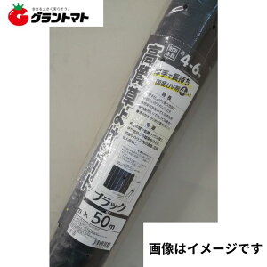 �h���V�[�g �O���[�� 200cm*100m 135G ���ϋv �������e��J���[�e�킲�����܂� ���[���� ���� �R�� UV�� �����x �G�� �h�~ ����