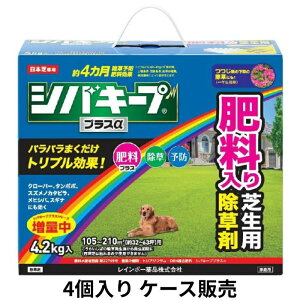 �S�iP3�{!20���`4h���� �V�o�L�[�v�v���X�� 4.2kg×4�� �P�[�X�̔� ���C���{�[��i