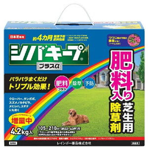 �S�iP3�{!20���`4h���� �V�o�L�[�v�v���X�� 4.2kg���C���{�[��i