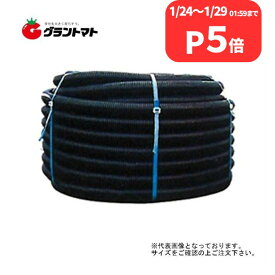 クーポン利用でMAX1,000円OFF バイドレーンダブル管 100mm×30m ダブル有孔管 東洋化工