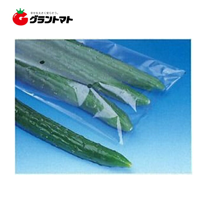 楽天市場】ボードンパック #20 No.11 穴有り 1000枚 (100×10P) #20×200×300 ボードン袋 シモジマ SWAN : グラントマト 楽天市場店 楽天市場】ボードンパック #20 No.11 穴有り 1000枚 (100×10P) #20×200×300 ボードン袋 シモジマ SWAN : グラントマト 楽天市場店