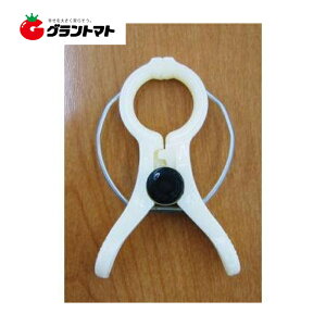 12/5IXSi|Cg3{ UNbv NbL[Y2 Rp 100