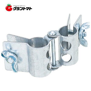 VhA 25×25 4 ȒɃpCvgrt