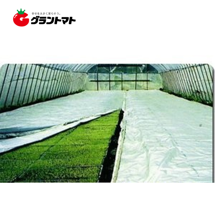 シルバーラブ 230cm×50ｍ 1枚 水稲育苗資材 芽だし 保温シート