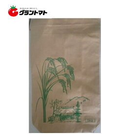 米袋 新袋稲穂印刷 5kgサイズ 1枚 2重構造の紙袋　長友製袋