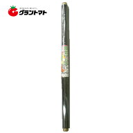 【シンセイ】黒マルチ　0.02×95×50【農業資材　家庭菜園　被覆　保温　地温　野菜　花】