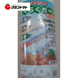 炭炭K[hX[p[ 180cm×10m 1{ _ƗpsDz VZC