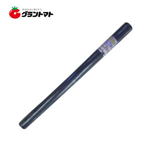 R 悯V[g@2m×50myhV[gz@VZC