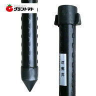 【~9/30★抽選で最大10万P当たる】防獣杭 25×1500mm 50本入 イボタケ シンセイ防獣【取寄商品】 【取寄…