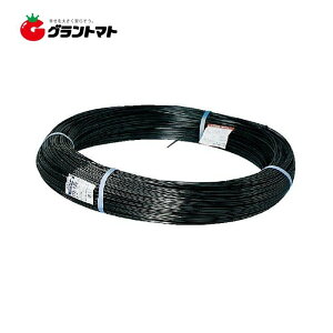 GNZ@12@1000m@|GXe@ϐ