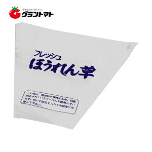 SBtbVق 20×280 GtsR`[p