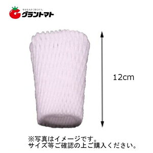 �y�݌Ɍ���z �t���[�c�L���b�v 120W �� ����12cm 100���� ���c���H