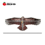 AINO 防鳥具カイト鷹 福農産業
