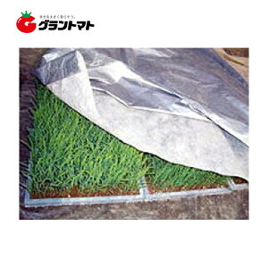 Vo[zbJ 2.7m×25m cpۉV[g