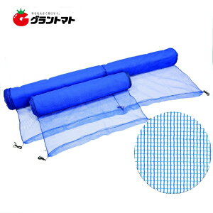 hlbg@4mmځ@3m×50m@yy񏤕iz